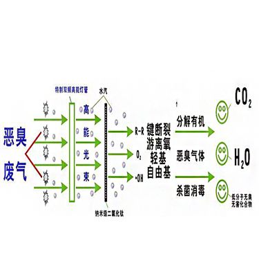 20190401144321162116.jpg 20190401144321162116.jpg